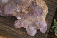 Natural Large Amethyst Crystal Specimen x 1 From Zambia - TopRock