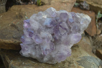 Natural Jacaranda Amethyst Clusters  x 2 From Mumbwa, Zambia - Toprock Gemstones and Minerals 