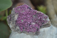 Natural Pink Salrose Cobaltion Dolomite Specimens  x 6 From Congo - Toprock Gemstones and Minerals 