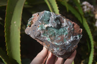 Natural Drusy Coated Ball Malachite On Dolomite Specimens x 2 From Likasi, Congo