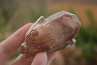 Natural Red Hematoid Quartz Specimens x 12 From Karoi, Zimbabwe - TopRock