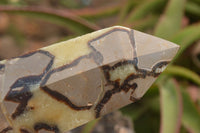 Polished Large Septaria (Yellow Calcite and Aragonite) Point x 1 From Mahajanga, Madagascar - TopRock