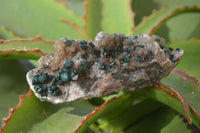 Natural Rare Ball Malachite On Drusy Quartz & Dolomite Specimens x 4 From Kambove, Congo