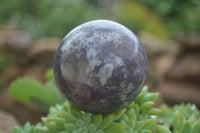 Polished Purple Rubellite Spheres (Some With Rubellite) x 6 From Madagascar - TopRock