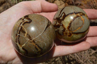 Polished Septerye, Calcite, Aragonite  Spheres x 12 From Madagascar - TopRock