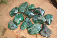 Polished Flower Malachite Free Forms  x 12 From Congo - Toprock Gemstones and Minerals 