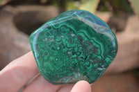 Polished Flower Banded Malachite Free Forms  x 12 From Congo - Toprock Gemstones and Minerals 