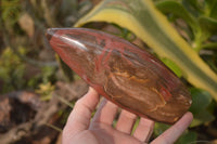 Polished Red Podocarpus Petrified Wood Standing Free Forms x 3 From Mahajanga, Madagascar