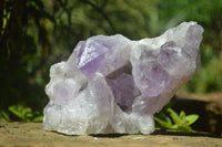 Natural Jacaranda Amethyst Clusters x 2 From Mumbwa, Zambia - TopRock