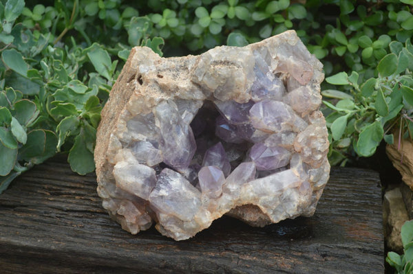 Natural Jacaranda Amethyst Cluster x 1 From Mumbwa, Zambia - TopRock