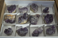 Natural Small Dark Amethyst Clusters x 12 From Zambia