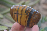 Polished Golden Tigers Eye Free Forms x 12 From Prieska, Northern Cape