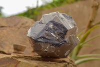 Natural Large Smokey Quartz Crystal  x 1 From Mt. Mulanje, Malawi - TopRock