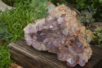 Natural Large Amethyst Crystal Specimen x 1 From Zambia - TopRock