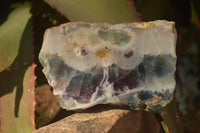 Polished  One Side Polished Watermelon Fluorite Pieces  x 10 From Uis, Namibia