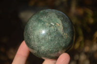 Polished  Green Fuchsite Quartz Spheres With Rosewood Stands  x 6 From Madagascar