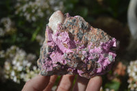 Natural Pink Salrose Cobaltion Dolomite Specimens  x 4 From Kakanda, Congo