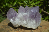 Natural Jacaranda Amethyst Clusters x 2 From Mumbwa, Zambia - TopRock