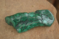 Polished Flower Malachite Free Forms  x 6 From Congo