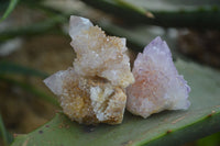 Natural Spirit Amethyst / Ametrine Quartz Crystals x 35 From Boekenhouthoek, South Africa - Toprock Gemstones and Minerals 