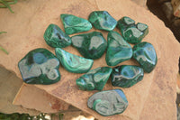 Polished Flower Banded Malachite Free Forms  x 12 From Congo - Toprock Gemstones and Minerals 