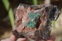 Natural Drusy Coated Ball Malachite On Dolomite Specimens x 2 From Likasi, Congo