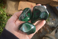 Polished Flower Malachite Free Forms  x 12 From Congo - Toprock Gemstones and Minerals 