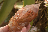 Natural Red Hematoid Phantom Quartz Specimens x 3 From Karoi, Zimbabwe