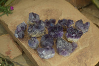 Natural Small Dark Amethyst Clusters x 12 From Zambia