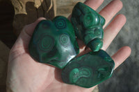 Polished Flower Banded Malachite Free Forms  x 12 From Congo - Toprock Gemstones and Minerals 