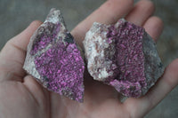 Natural Pink Salrose Cobaltion Dolomite Specimens  x 6 From Congo - Toprock Gemstones and Minerals 