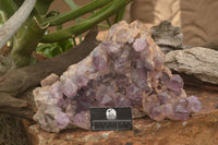 Natural Large Amethyst Crystal Specimen x 1 From Zambia - TopRock