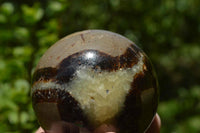 Polished Septerye, Calcite, Aragonite  Spheres x 12 From Madagascar - TopRock