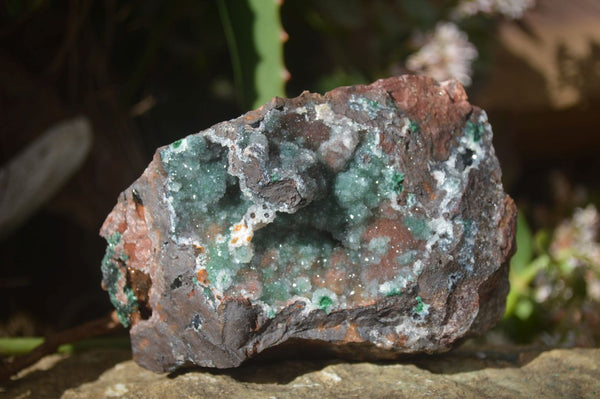 Natural Drusy Coated Malachite On Dolomite Specimens  x 2 From Likasi, Congo