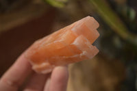 Natural New Sunset Orange Calcite Specimens  x 22 From Spitzkop, Namibia