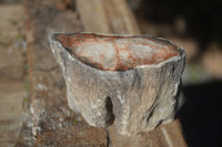 Polished Petrified Wood Branch Pieces  x 6 From Mahajanga, Madagascar - Toprock Gemstones and Minerals 