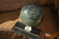 Polished  Green Fuchsite Quartz Spheres With Rosewood Stands  x 6 From Madagascar