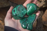 Polished Flower Banded Malachite Free Forms  x 12 From Congo - Toprock Gemstones and Minerals 