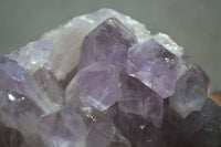 Natural Jacaranda Amethyst Clusters  x 3 From Mumbwa, Zambia - Toprock Gemstones and Minerals 