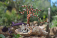 Polished Hand Made Gemstone Trees x 2 From Southern Africa - TopRock