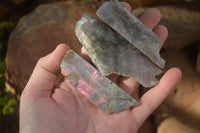 Polished  One Side Polished Purple Labradorite Slabs  x 24 From Tulear, Madagascar