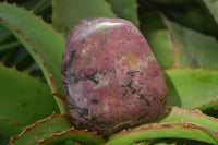 Polished Red Rhodonite Standing Free Forms x 3 From Zimbabwe