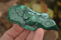 Polished Flower Malachite Free Forms  x 6 From Congo