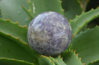 Polished Purple Rubellite Spheres (Some With Rubellite) x 6 From Madagascar - TopRock