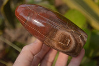 Polished Red Podocarpus Petrified Wood Standing Free Forms x 3 From Mahajanga, Madagascar