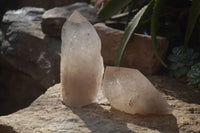 Polished Self Healed Smokey Quartz Crystals x 2 From Angola