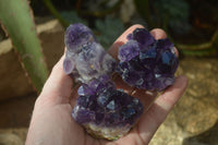 Natural Small Dark Amethyst Clusters x 12 From Zambia