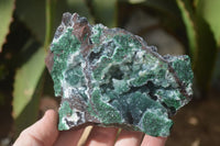 Natural Drusy Coated Ball Malachite On Dolomite Specimens x 2 From Likasi, Congo