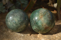 Polished  Green Fuchsite Quartz Spheres With Rosewood Stands  x 6 From Madagascar