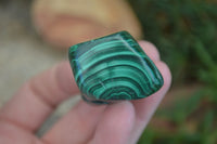 Polished Flower Banded Malachite Free Forms  x 12 From Congo - Toprock Gemstones and Minerals 